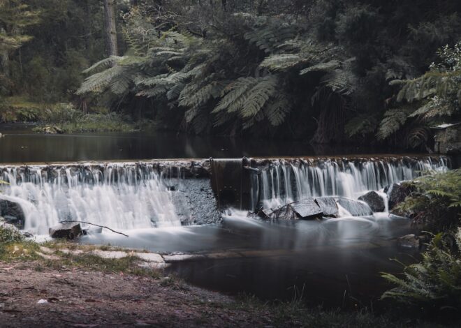 Exploring the Untamed Beauty of Wild Rivers: A Photo Journey