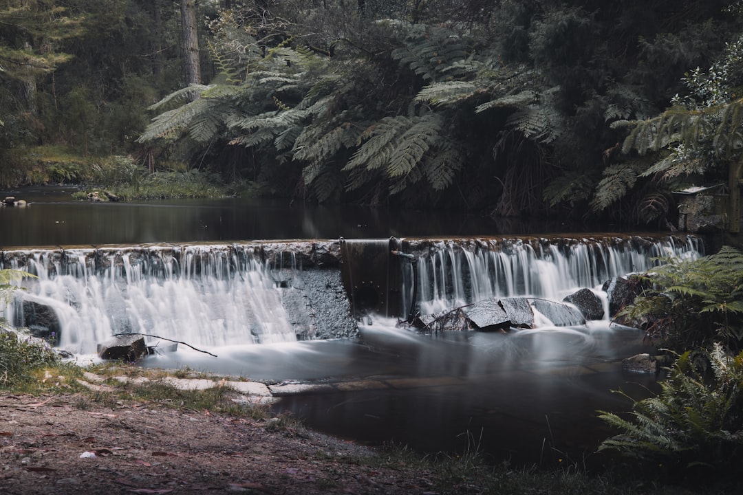 Exploring the Untamed Beauty of Wild Rivers: A Photo Journey